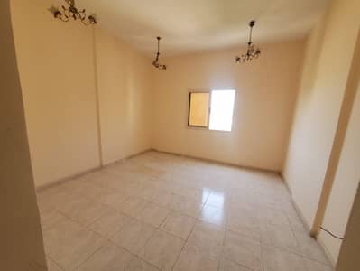 استوديو  للايجار في الراشدية، عجمان - IMG-20250426-WA0219. jpg