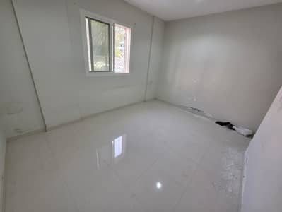 استوديو  للايجار في النخيل، عجمان - IMG-20250912-WA0038. jpg