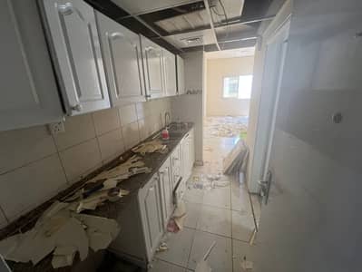 Студия в аренду в Кинг Файсал Стрит, Аджман - 50f525d7-2019-4237-9e09-a7c839f50d4b. jpg