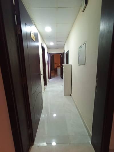 1 Bedroom Flat for Rent in Corniche Ajman, Ajman - 6e9465f7-2f10-4d62-8937-b581af894cc3. jpg