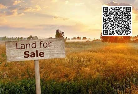 ارض سكنية  للبيع في الزاهية، عجمان - 71683. jpg