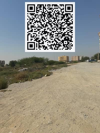 ارض تجارية  للبيع في السلام سيتي، أم القيوين - WhatsApp Image 2024-09-25 at 11.08. 39 PM. jpeg