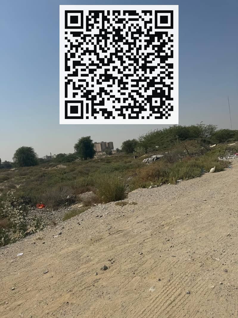 3 WhatsApp Image 2024-09-25 at 11.08. 38 PM. jpeg