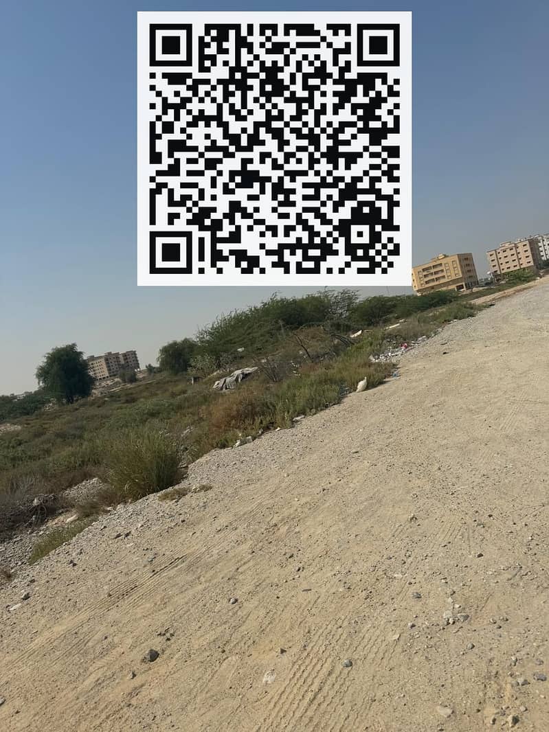 4 WhatsApp Image 2024-09-25 at 11.08. 37 PM. jpeg