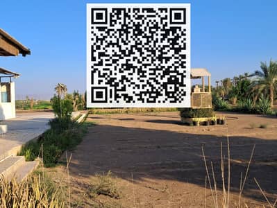 Другое коммерческое Продажа в Аль Дхайд, Шарджа - WhatsApp Image 2024-11-13 at 9.57. 37 PM. jpeg