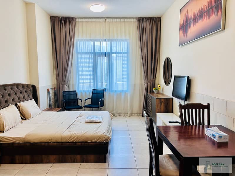 Free Bills & Parking | Palace tower Studio