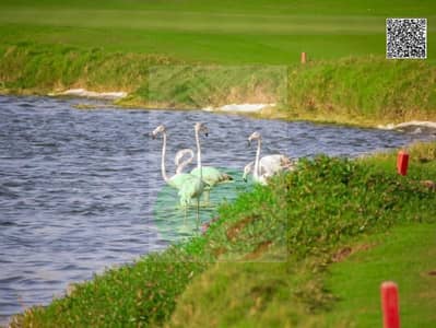 Plot for Sale in Al Zorah, Ajman - IMG-20240810-WA0037. jpg