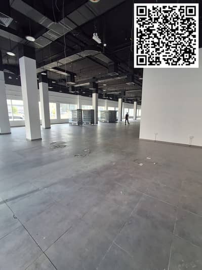阿尔吕梅拉， 阿治曼 商业楼层待租 - IMG-20250920-WA0298. jpg