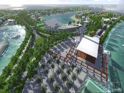Участок Продажа в Нариль Айленд, Абу-Даби - Участок в Нариль Айленд, 16000000 AED - 12874462