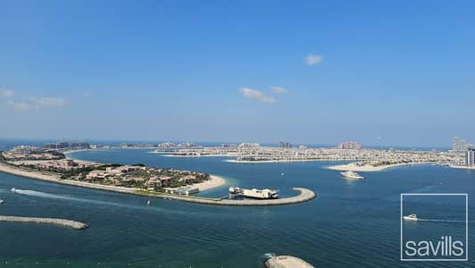 3 Bedroom Apartment for Sale in Dubai Harbour, Dubai - Palm View| Lowest Price in the Market l High Floor