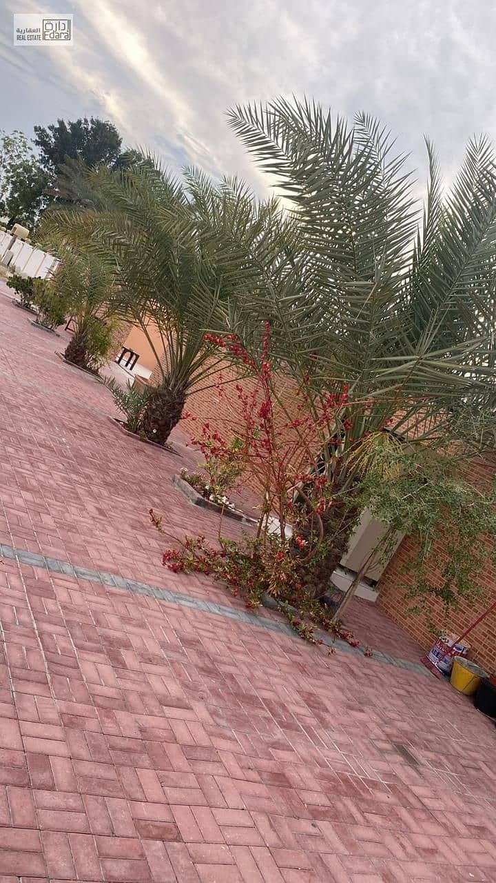 3 WhatsApp Image 2025-09-23 at 4.21. 20 AM (2). jpeg