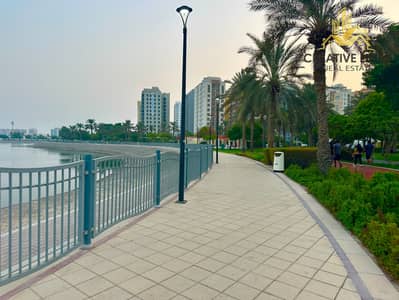 2 Bedroom Apartment for Rent in Al Nahda (Dubai), Dubai - IMG_5776. jpeg