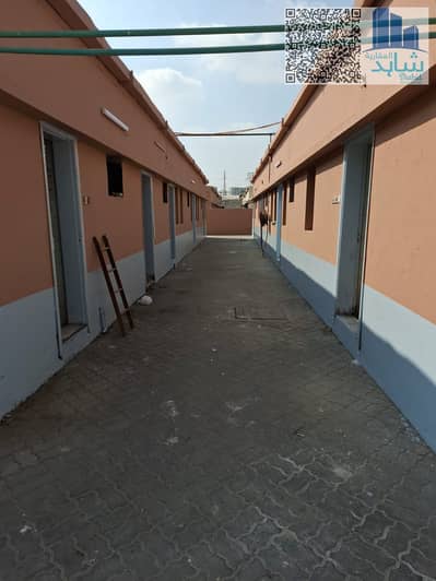 Labour Camp for Rent in Industrial Area, Sharjah - WhatsApp Image 2025-09-22 at 1.12. 43 PM (2). jpeg