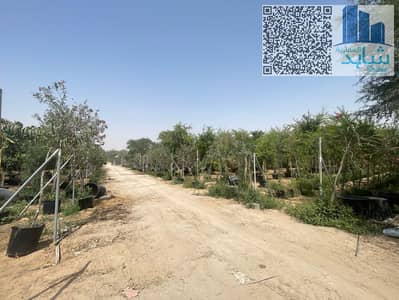 Участок Продажа в Аль Манама, Аджман - IMG-20250925-WA0008. jpg