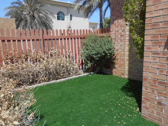 4 DSCN0924C. JPG