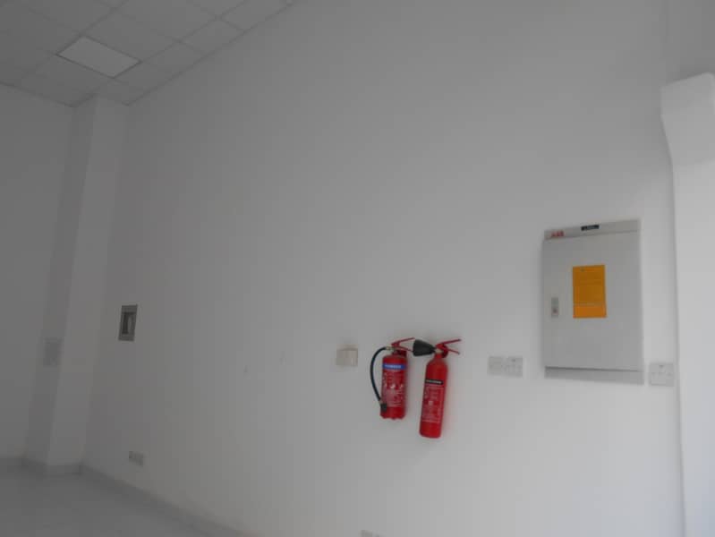 5 DSCN3280. JPG