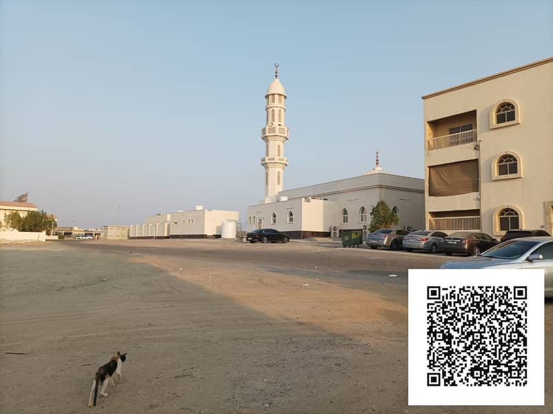 3 WhatsApp Image 2025-09-23 at 7.26. 59 PM (1). jpeg