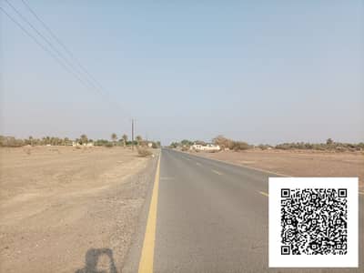 Plot for Sale in Al Manama, Ajman - WhatsApp Image 2025-09-25 at 7.22. 00 PM (1). jpeg