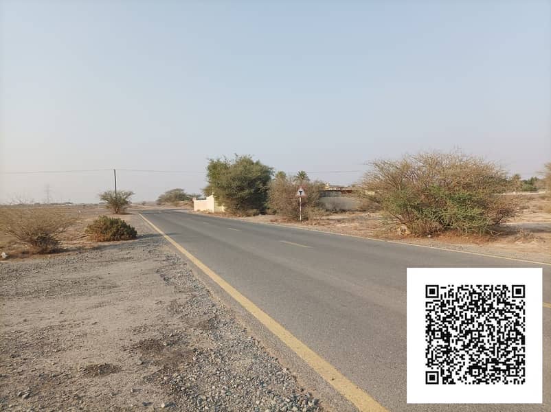 12 WhatsApp Image 2025-09-23 at 7.22. 57 PM (1). jpeg