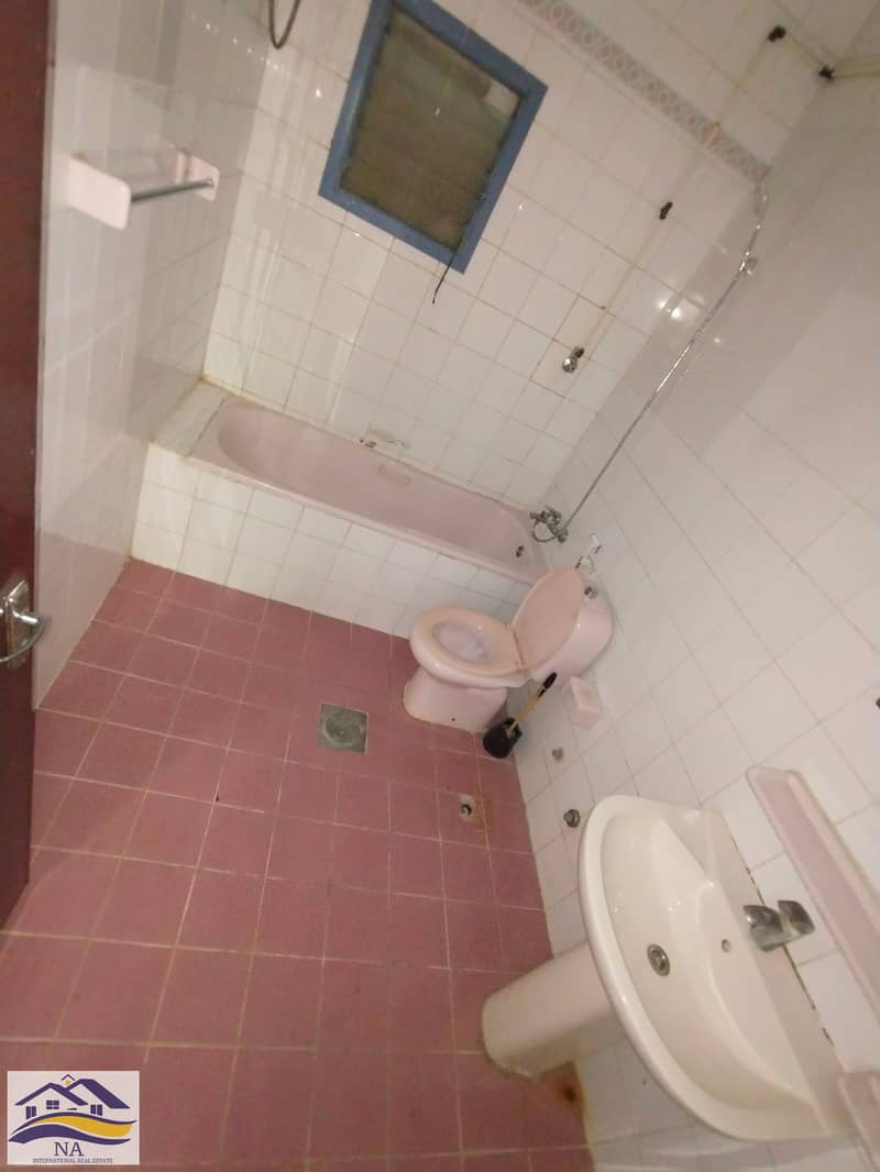 7 131838. jpg