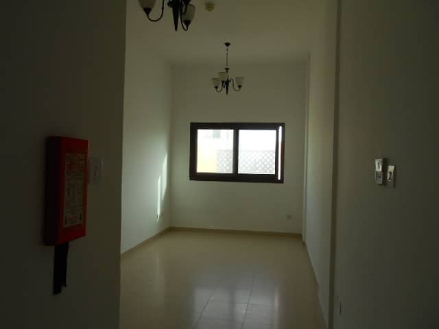 2 DSCN8378. JPG