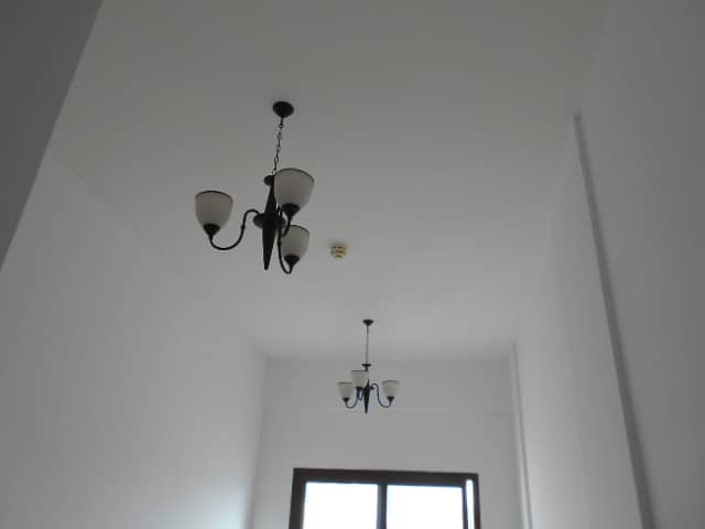 4 DSCN8380. JPG