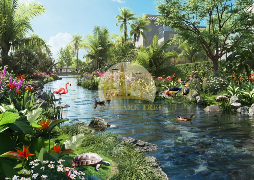 8 10-tortoise Garden. jpg