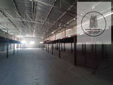 Warehouse for Rent in Industrial Area, Sharjah - IMG-20250924-WA0026. jpg