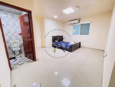 Studio for Rent in Muwaileh Commercial, Sharjah - WhatsApp Image 2025-09-26 at 6.05. 09 PM. jpeg