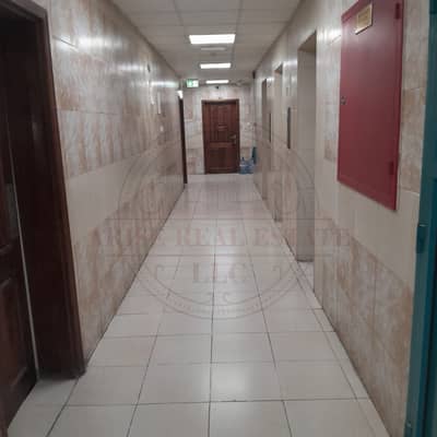 1 Bedroom Flat for Rent in Al Nahda (Sharjah), Sharjah - WhatsApp Image 2025-09-25 at 2.15. 00 PM (3). jpeg