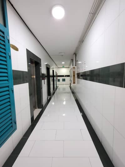 阿尔那哈达（夏尔迦）， 夏尔迦 1 卧室单位待租 - WhatsApp Image 2024-05-17 at 4.53. 55 AM. jpeg