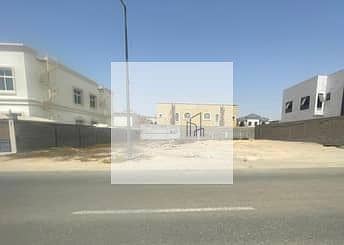 9 IMG_7517. jpg
