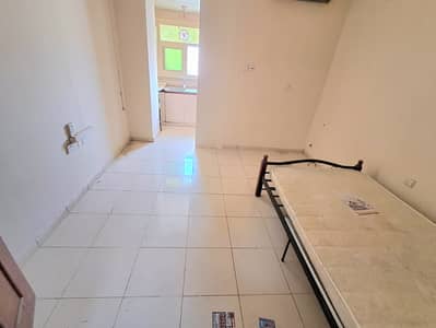 Студия в аренду в Мувайли Коммерческая, Шарджа - 1000241930. jpg