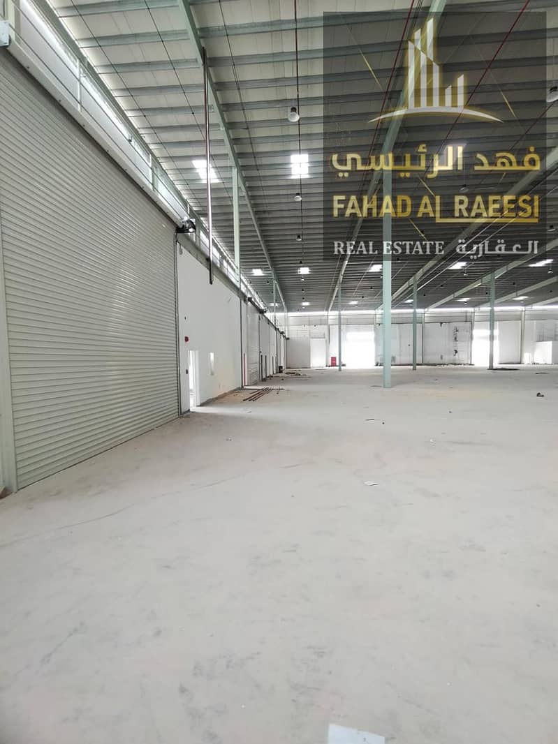 11 ef5b3ec0-7880-44e7-aec2-809848ff759a. jpg