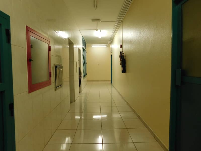5 6. JPG