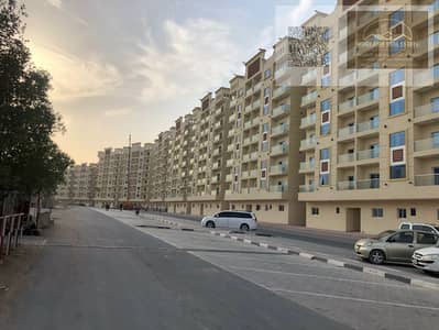استوديو  للبيع في الياسمين، عجمان - IMG-20250818-WA0583. jpg