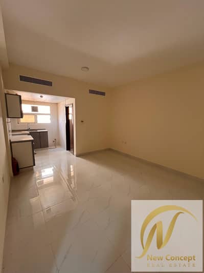 استوديو  للايجار في النعيمية، عجمان - b476236f-9249-4aa8-a876-2ad44ddd060e. jpg
