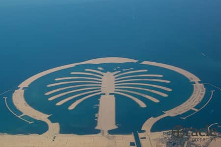 杰贝阿里棕榈园， 迪拜 住宅地块待售 - Palm-Jebel-Ali. jpg