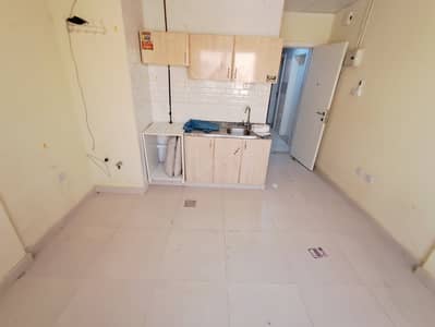 Студия в аренду в Мувайли Коммерческая, Шарджа - 1000241757. jpg