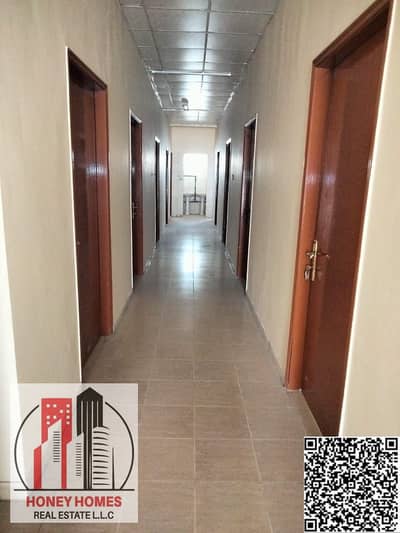 艾尔朱尔夫， 阿治曼 员工宿舍待租 - WhatsApp Image 2025-04-07 at 19.20. 26. jpeg