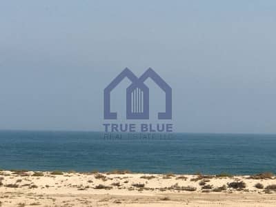 Full Sea View | Brand New | 2 BHK + Maids Room | Bermuda Full Sea View | Brand New | 2 BHK + Maids Room | Bermuda