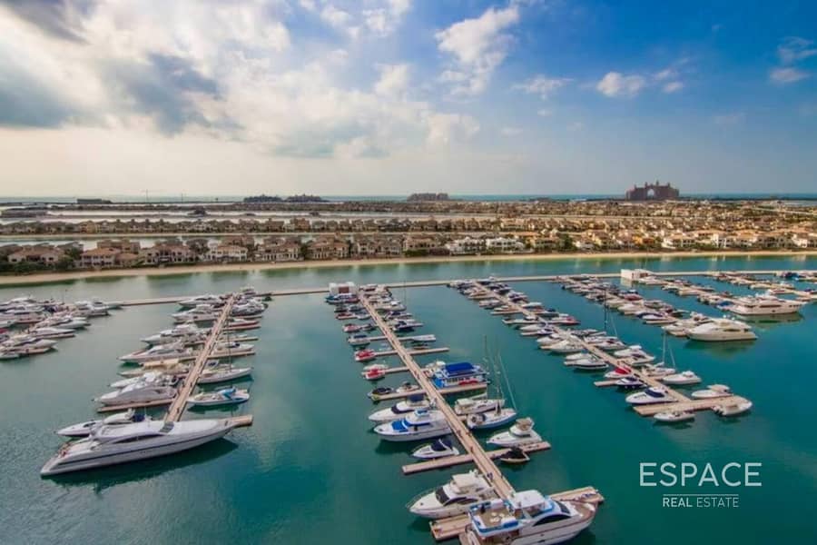 位于朱美拉棕榈岛，大洋住宅区，太平洋公寓 2 卧室的公寓 6500000 AED - 12754533