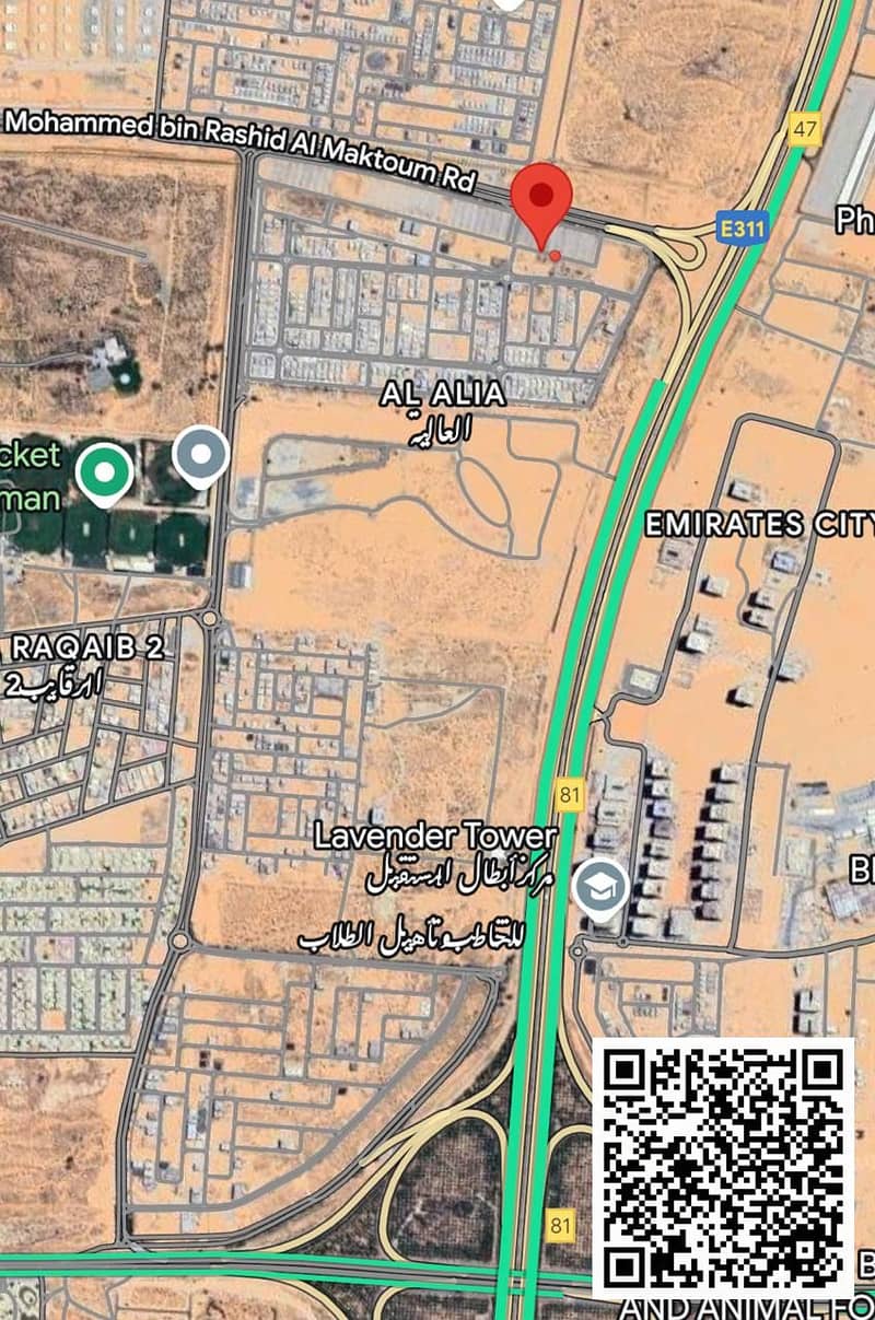 2 WhatsApp Image 2025-09-30 at 1.21. 10 AM. jpeg