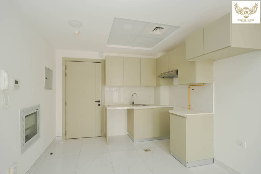 3 DIL09350. jpg