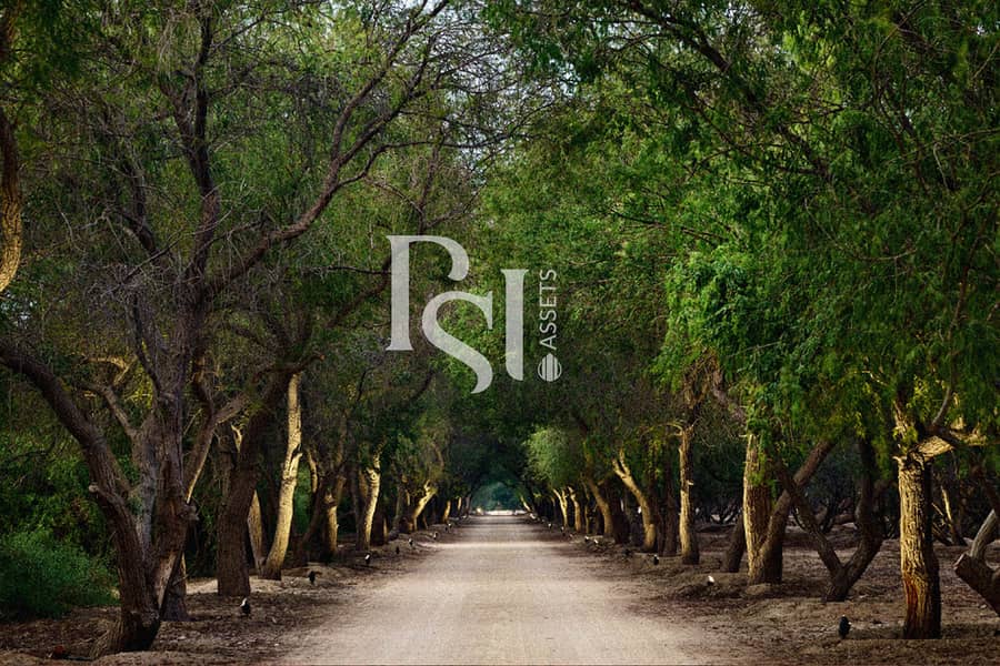10 al-jurf-villa-gardens-abu-dhabi-private-entrance. jpg