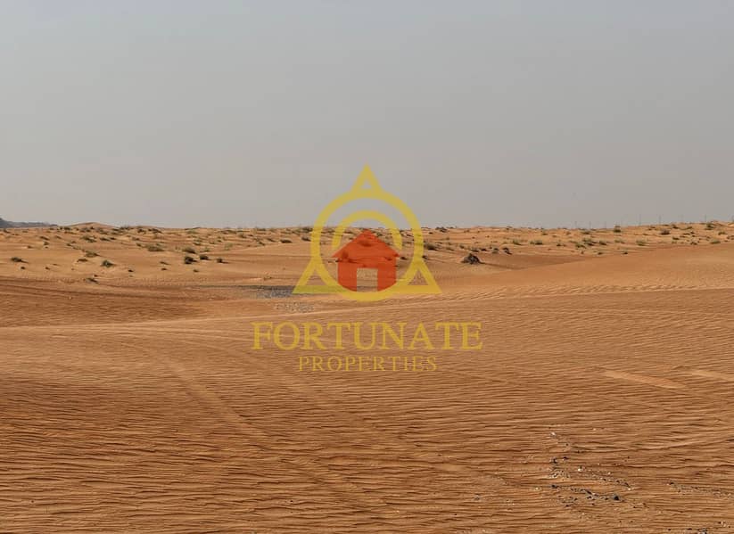 5 IMG_2381. PNG