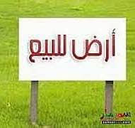 4 تنزيل (3). jpg