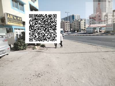 阿尔努艾米亚， 阿治曼 商业地块待售 - image (79). png