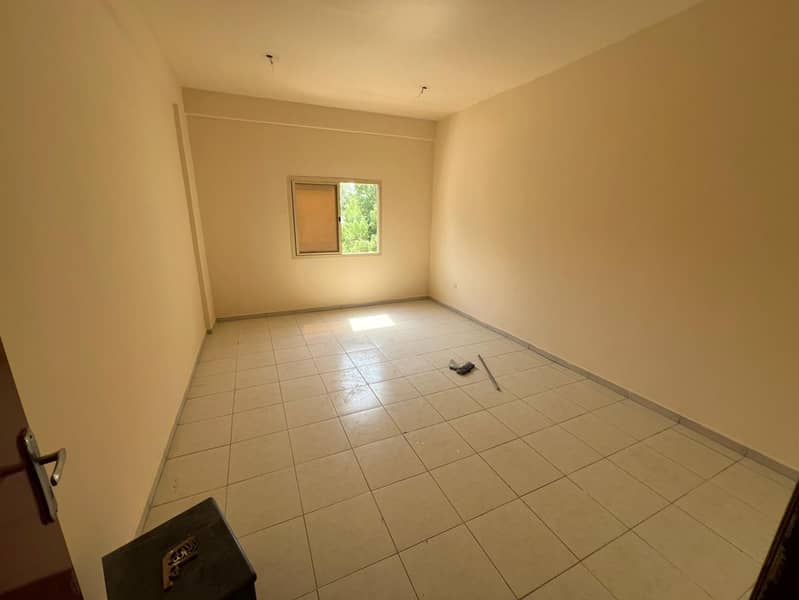 5 IMG-20251001-WA0201. jpg