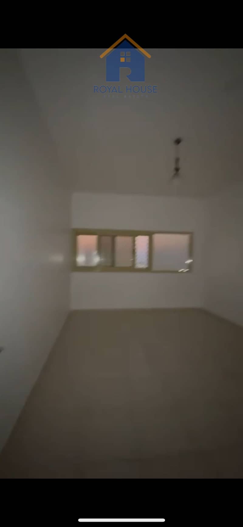 11 IMG_6665. png